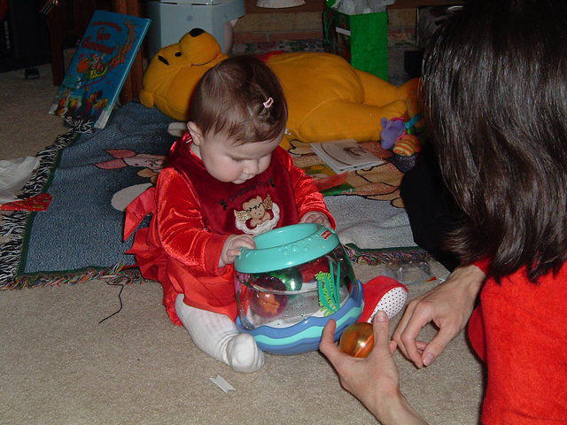 2003_1225_182906.JPG