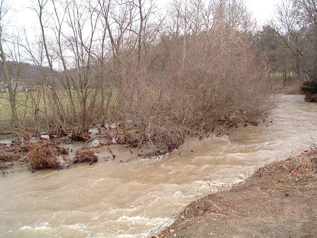 2004_0105_111552.JPG