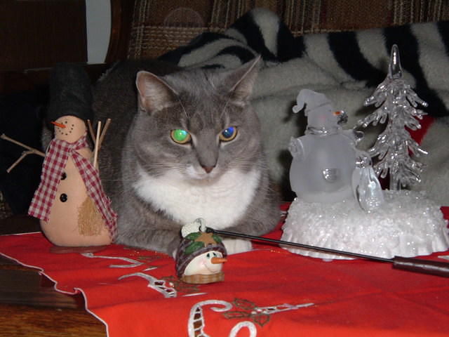 2004_0107_221402.JPG