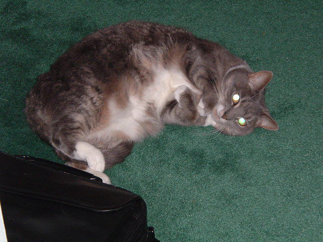 2004_0205_073814.JPG