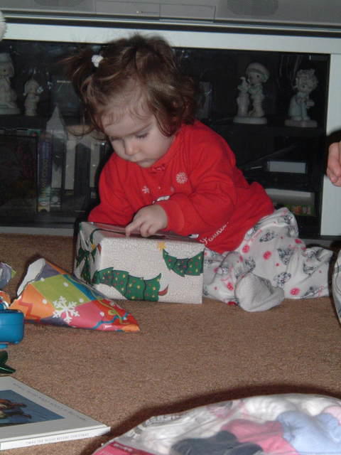 2004_1226_084716.JPG
