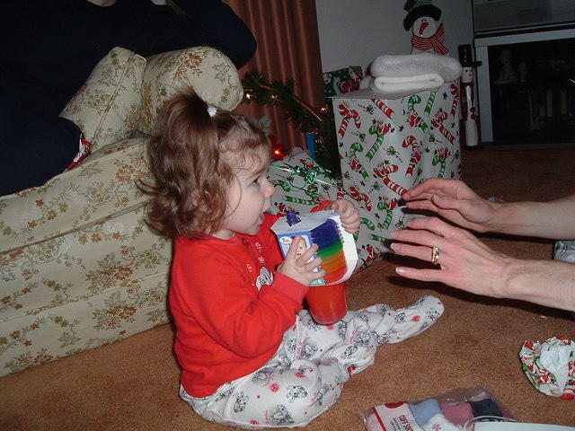 2004_1226_085048.JPG