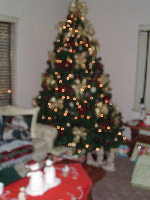 tn_2006_0102Image0010.jpg