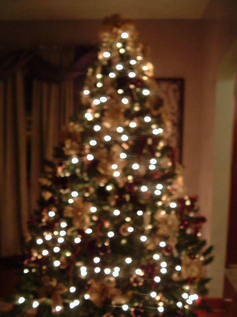 tn_2008_0111Image0002