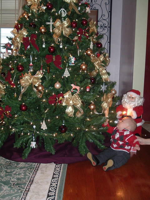 2008_1215Image0054.JPG