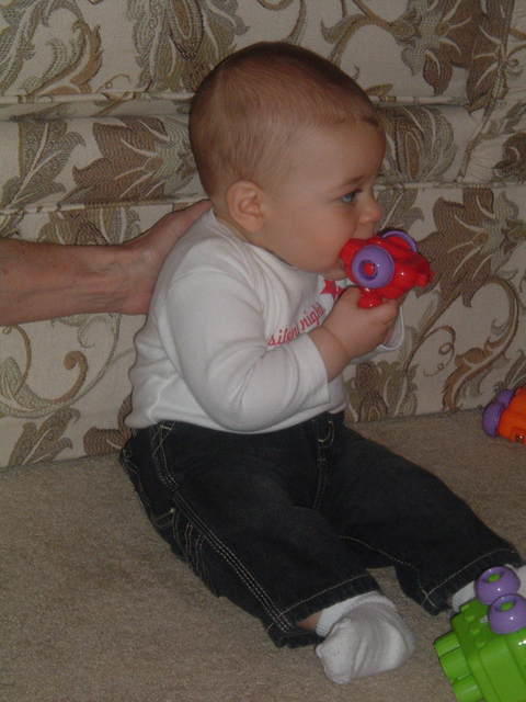 2008_1226Image0001b.JPG