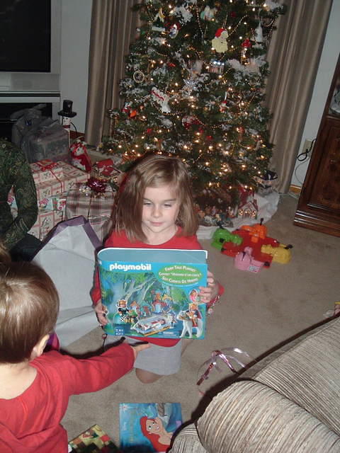 2008_1226Image0005.JPG