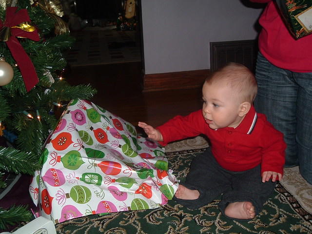 2008_1226Image0045.JPG