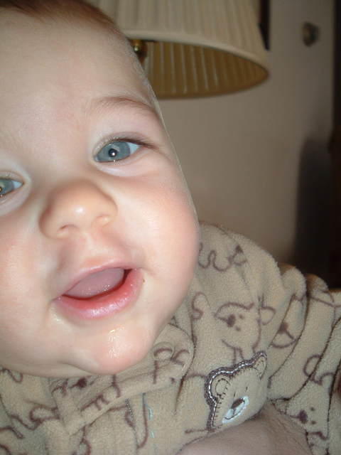 2008_1226Image0067.JPG