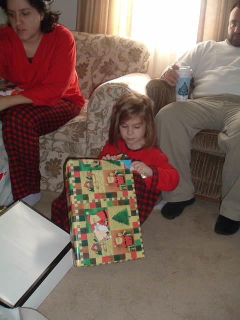 2008_1226Image0068.JPG