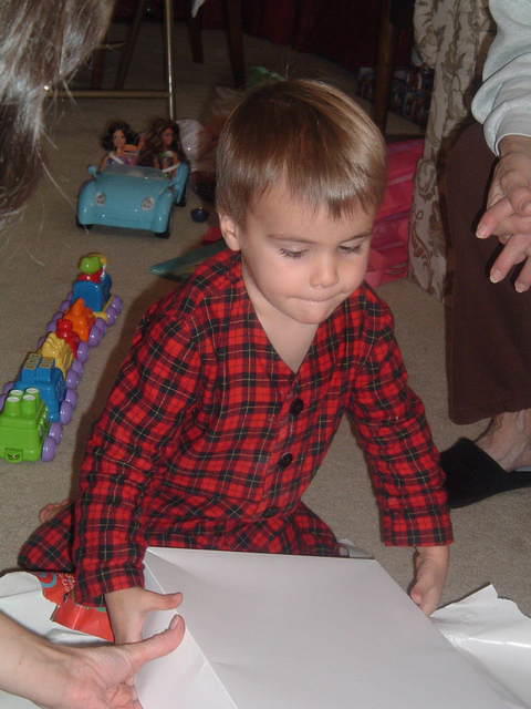 2008_1226Image0076.JPG