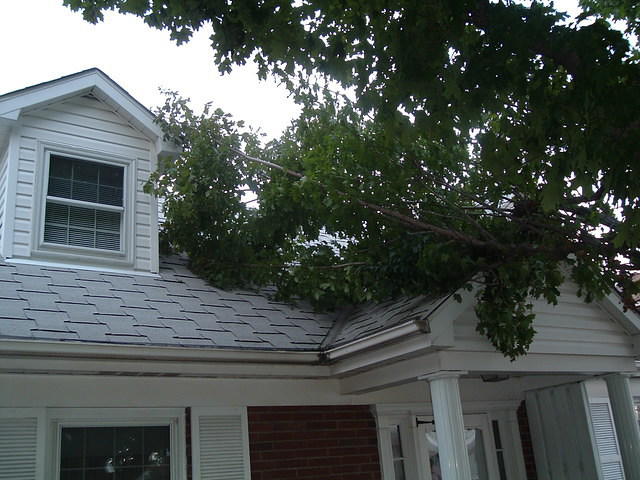 2008_1001Image0016.JPG