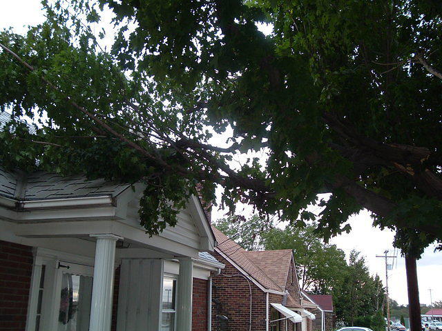 2008_1001Image0017.JPG