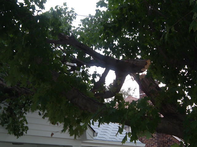 2008_1001Image0018.JPG