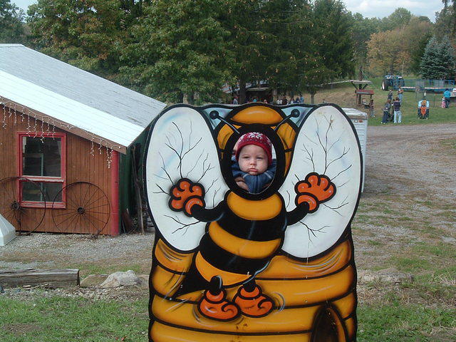 2008_1009Image0012.JPG