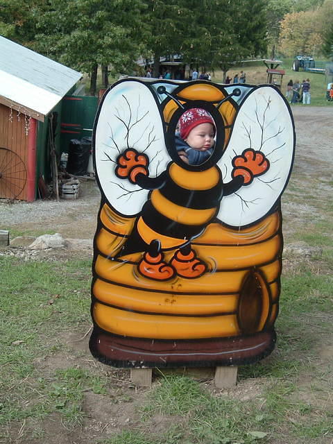 2008_1009Image0014.JPG