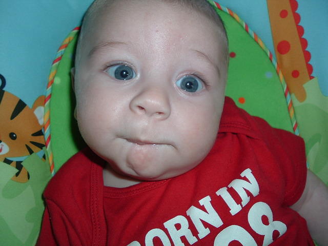 2008_0826Image0002.JPG