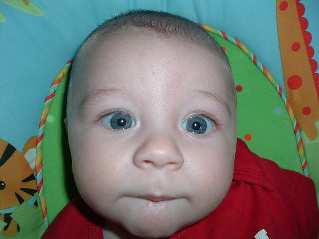2008_0826Image0003.JPG