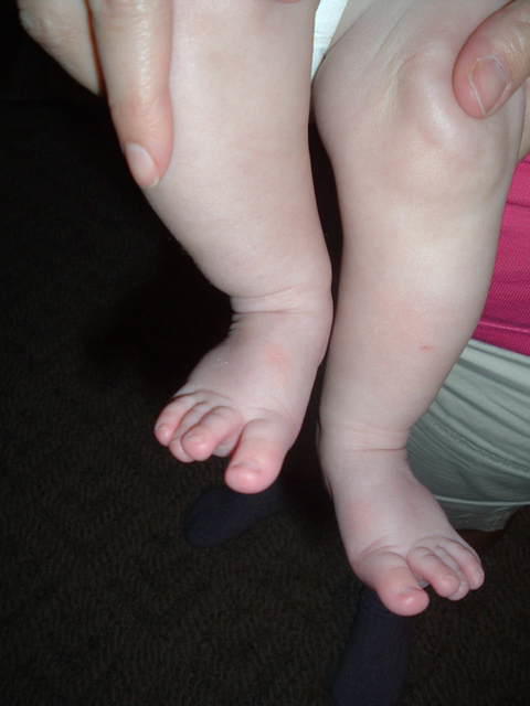 2008_0826Image0061.JPG