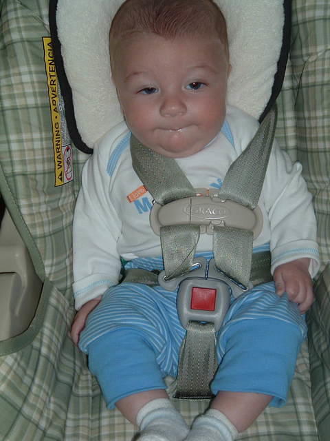 2008_0826Image0066.JPG