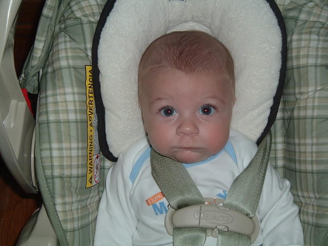 2008_0826Image0067.JPG