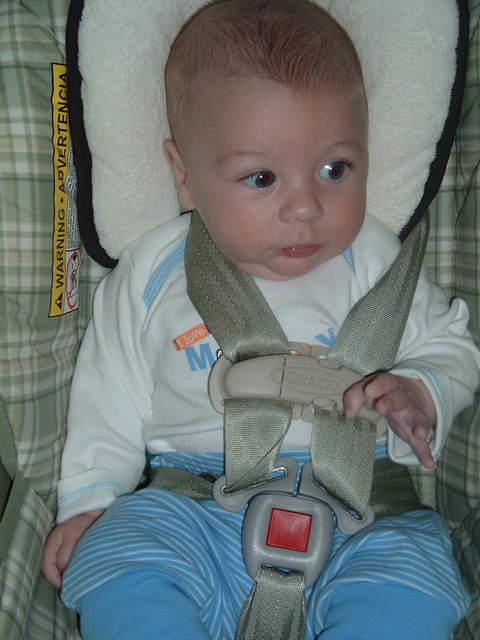 2008_0826Image0068.JPG