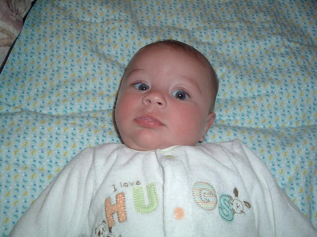 2008_0826Image0072.JPG