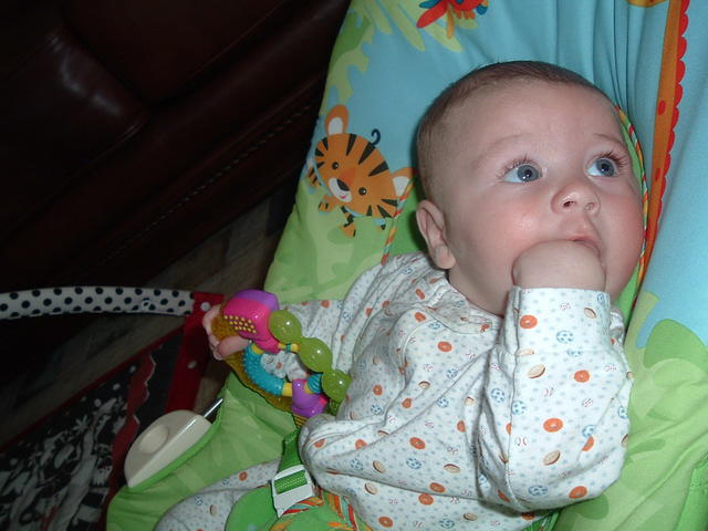 2008_0826Image0110.JPG
