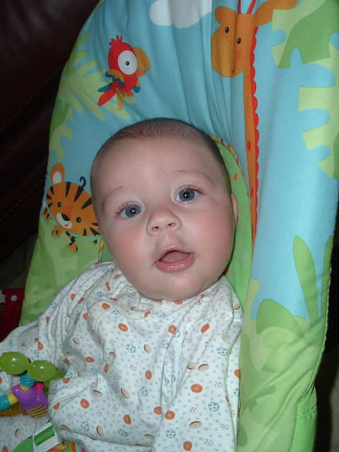 2008_0826Image0112.JPG