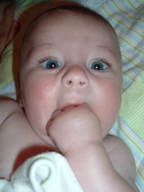 2008_0826Image0114.JPG