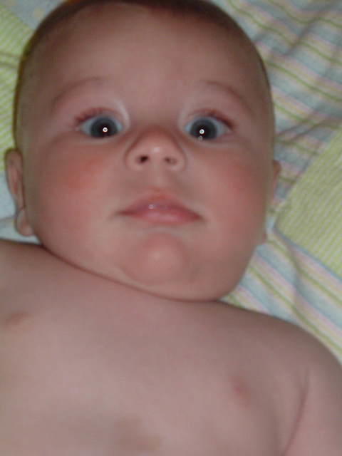 2008_0826Image0119.JPG
