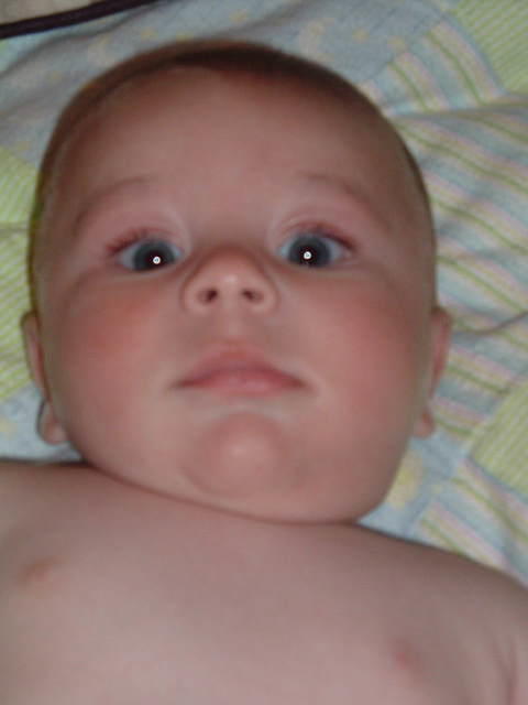 2008_0826Image0120.JPG