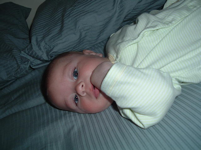 2008_0826Image0121.JPG