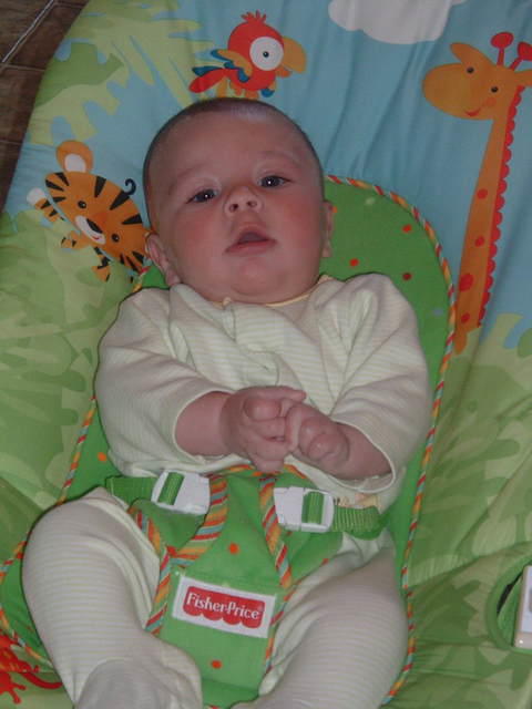 2008_0826Image0127.JPG