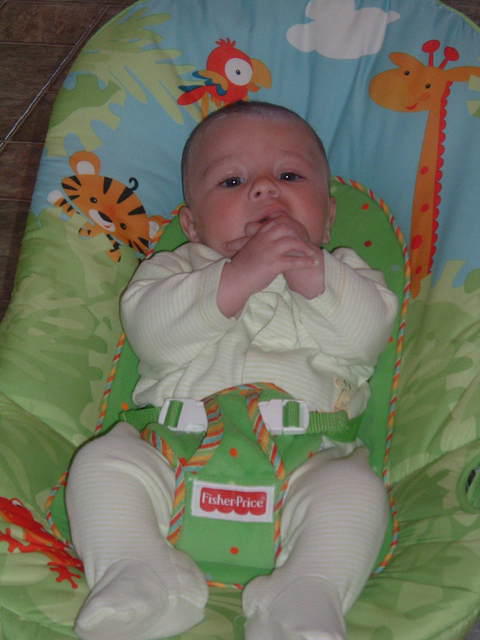 2008_0826Image0128.JPG
