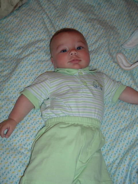 2008_0826Image149.JPG