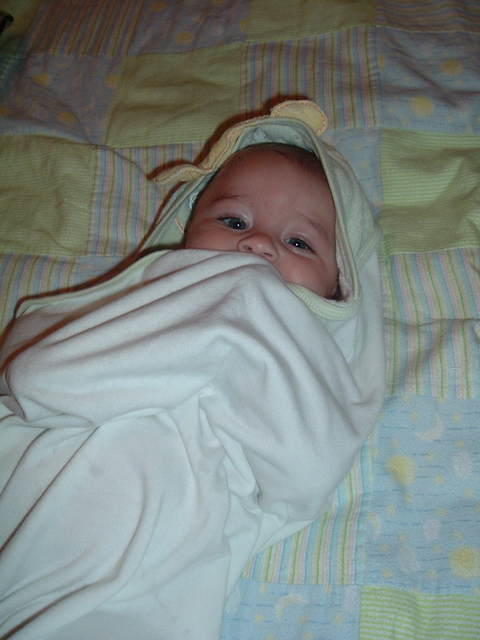 2008_1001Image0022.JPG