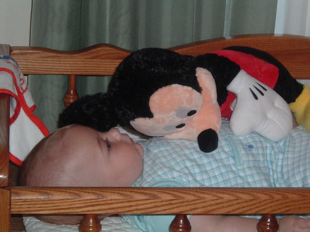 2008_1001Image0024.JPG