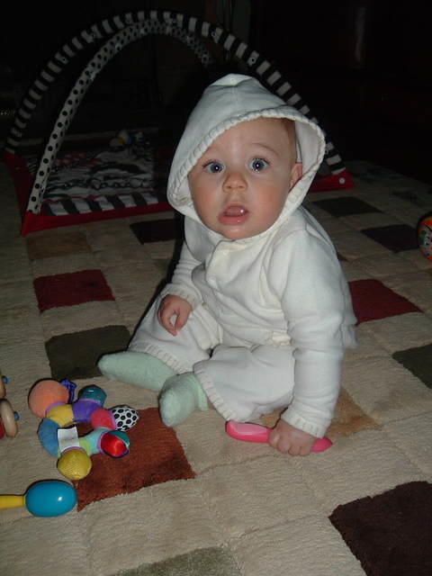 2008_1215Image0041.JPG