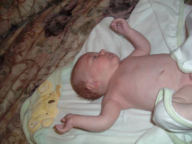 tn_2008_0617Image0011.JPG