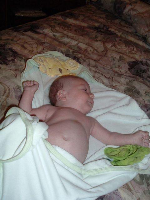 tn_2008_0617Image0012.JPG