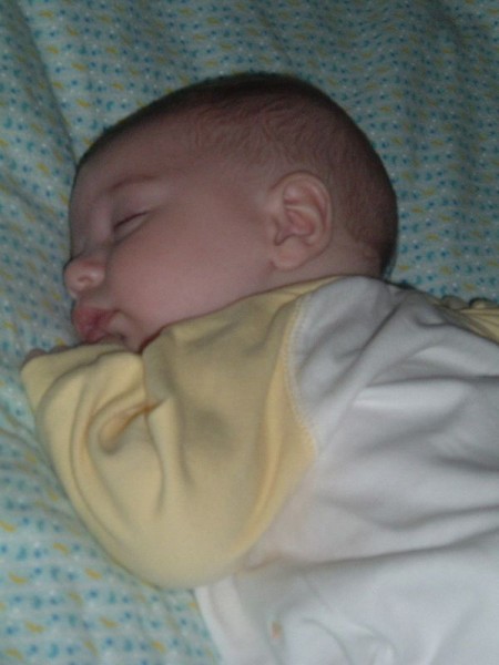 tn_2008_0728Image0001.JPG