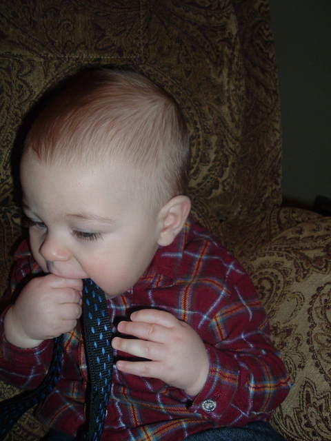 2009_0120Image0049.JPG