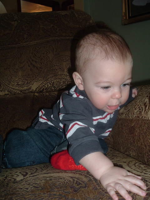 2009_0205Image0004.JPG