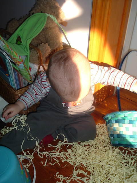 2009_0423Image0006.JPG
