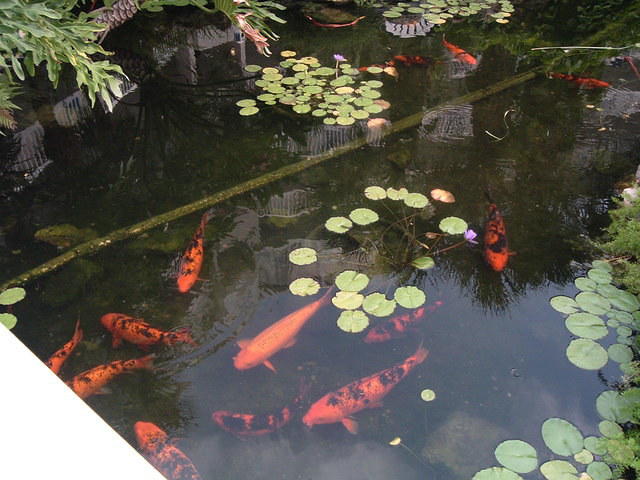 2009_0620Image0072.JPG
