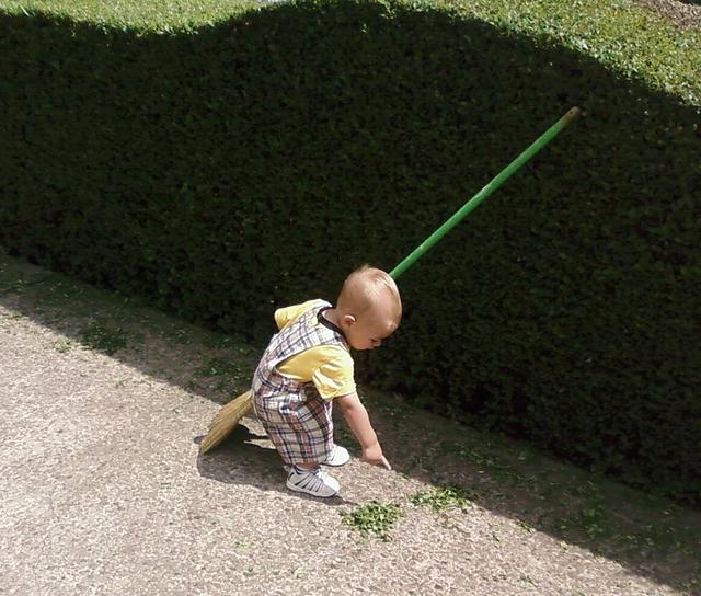 HelpingPapaWithTheHedges