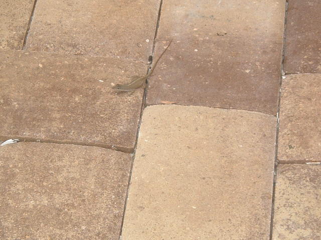 2010_0716Image0030.JPG