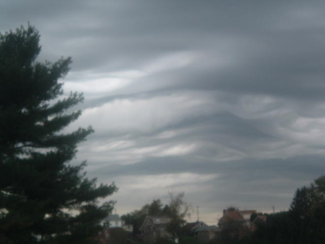 DSCF5715.JPG
