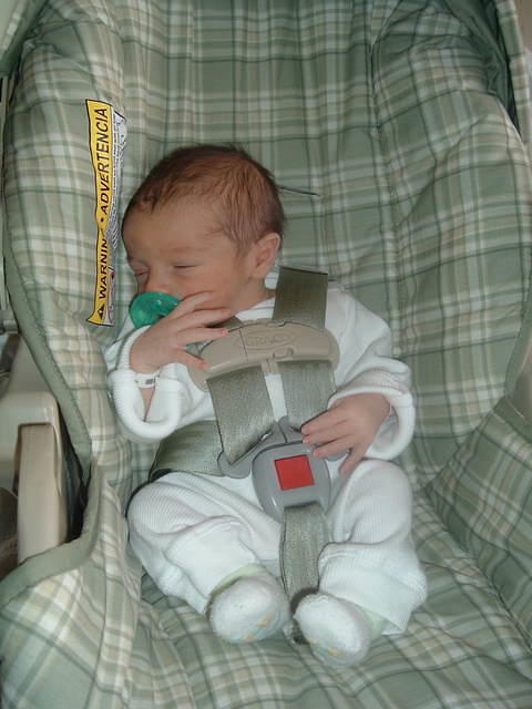2011_0711Image0008.JPG
